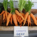 2011 Haliburton Farmstand Carrots