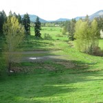 View from Alderlea Farmhouse