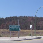 Dying trees in Kelowna