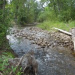 Okanagan River tributary