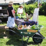 Shopping Barrow at Comox Valley Farmers Market