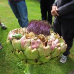 Artichoke with Treefrog