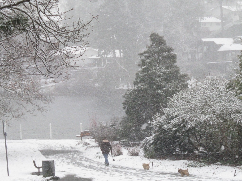 January snow on The Gorge