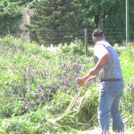 Jesse Perriera, Terra Nossa Farm