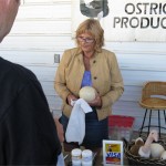 Millarville Farmers Market Ostrich Egg