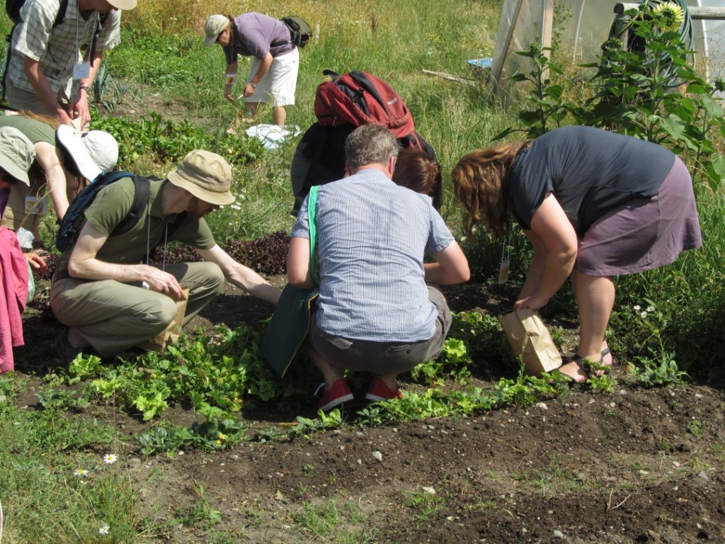 Preservation Farm harvest