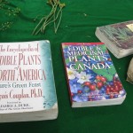 Books on wild foods