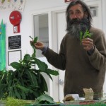 Roger Foucher with Wild Lettuce
