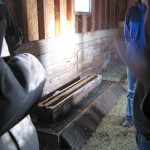 Sweet Earth Farms water trough duck barn