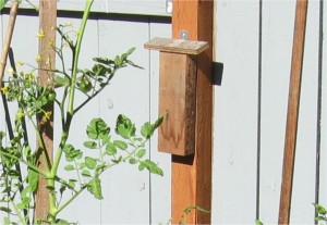 Block style mason bee house 2