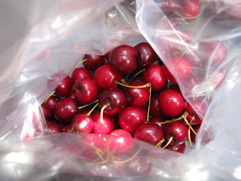 Haliburton Cherries July 2011