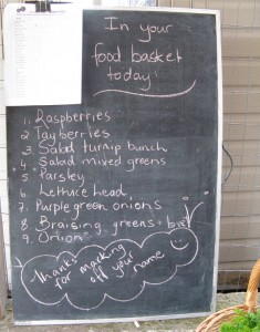 2011 Haliburton CSA Blackboard July20