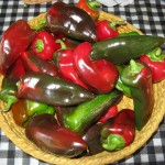 CSA box sweet peppers Sept 7