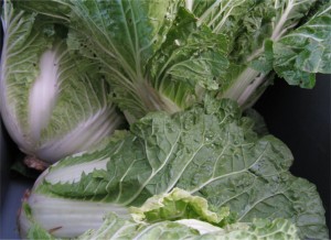 Haliburton Sui Choy July 2011