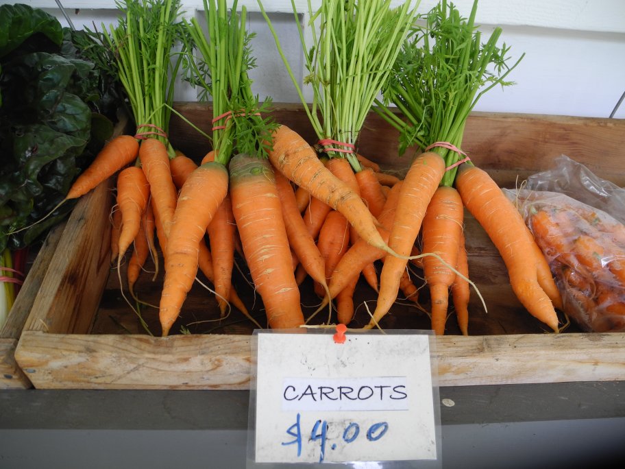 2011 Haliburton Farmstand Carrots
