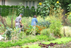 Work Party August 2011