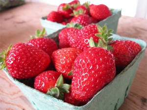 Haliburton farm strawberries