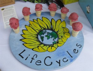 Lifecycles plum gelato