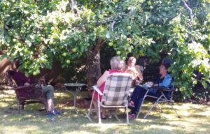 Four people seated beneath an apple tree