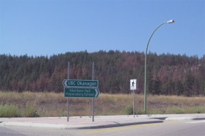 Dying trees in Kelowna