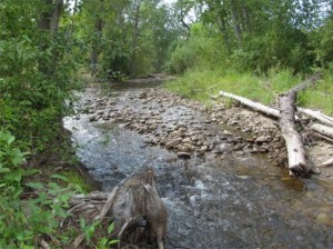 Okanagan River tributary