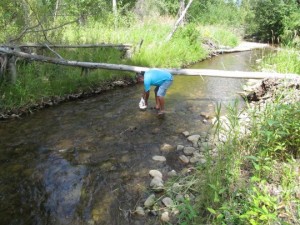Henry returns salmon bones to the river