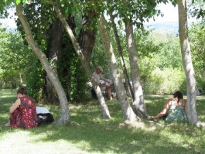 Writing in the woods