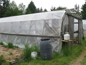 Greenhouse