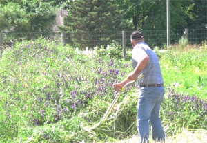 Jesse Perriera, Terra Nossa Farm