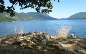 Maple Bay Mt Maxwell July 2011