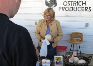 Millarville Farmers Market Ostrich Egg