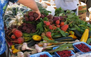 Millarville Farmers Market Vegetables