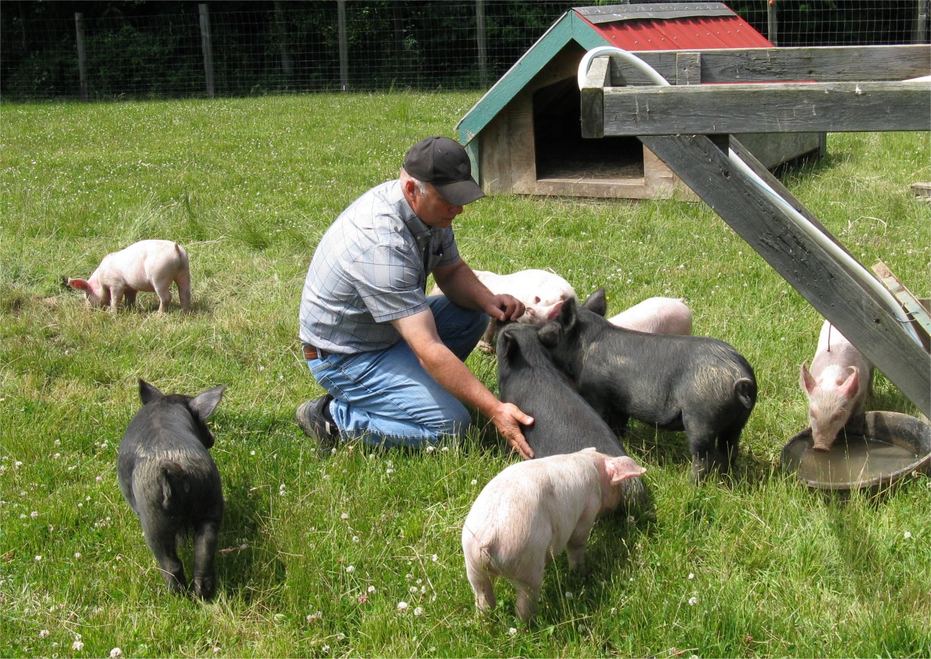 Jesse Perriera, Terra Nossa Farm, with piglets