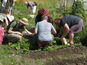 Preservation Farm harvest