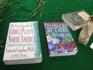Books on wild foods