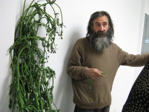 Roger Foucher with Sow Thistle