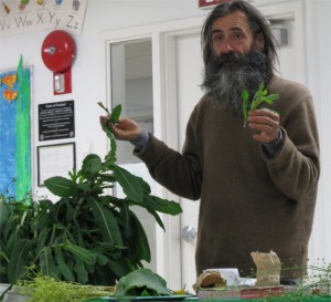 Roger Foucher with Wild Lettuce