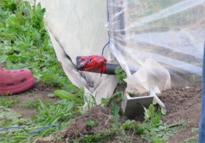 Sweet Earth Farms Greenhouse Runner